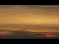 Terrian - Walking With My God (feat. LIN D) (Lyric) 