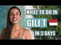 Lagu Best of Gili Trawangan - 3 days in paradise - BALI INDONESIA