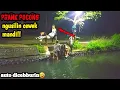 Download Lagu Prank pocong cewek mandi di sungai😱 || auto di ceburin ke k4li || paling lucu sepanjang masa🤣