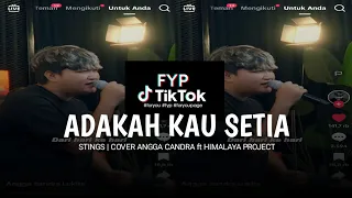 fyp tiktok dari hari ke hari aku terus merindui adakah kau setia stings cover angga candra 