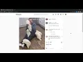 Instagram Bot to Auto Like posts