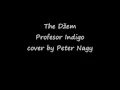 Download Lagu Peter Nygy - Profesor Indigo cover by The Džem