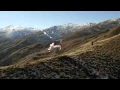 Glacier Southern Lakes Helicopters Tourism NZ Ad 5X1NZ AD
