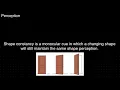 PNC26 Shape Constancy