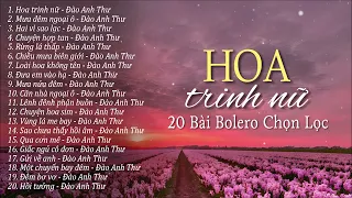 20 Bài Nhạc Vàng Phòng Trà Làm Người Nghe Thổn Thức Từng Giai Điệu Hoa Trinh Nữ Hai Vì Sao Lạc 