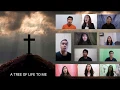 Download Lagu O Mighty Cross