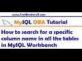 How to search for a specific column name in all the tables in MySQL Workbench - MySQL DBA Tutorial