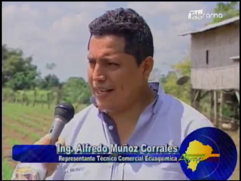 Ecuador Agropecuario 24-01-2018