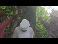 Download Lagu gad kòman pastè sa al pwan yon zonbi nan men malfektè sa☠️☠️👹
