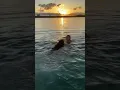 Download Lagu Wait for the end 🤣 #travel #beach #zaful
