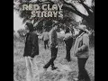 Devil In My Ear - The Red Clay Strays