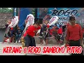 Lagu TARI KEPANG 6 ROGO SAMBOYO PUTRO LIVE RINGINAGUNG MEDOWO KANDANGAN