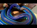 The Amazing Rainbow Snake