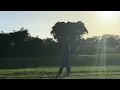 Perdido de Amor 2 (cover)