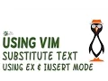 Using the VIM to Substitute Text