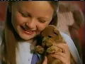 Nick Jr Commercial Breaks October 28 2005