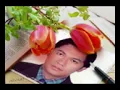 renungan terakhir nura