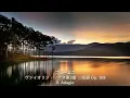 ブラームス: ヴァイオリン・ソナタ第3番 ニ短調 Op. 108 - II. Adagio #誕生日／Brahms: Violin Sonata No. 3 in D Minor, Op. 108