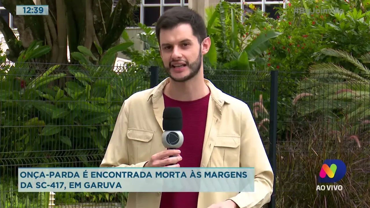 Onça parda é encontrada morta às margens da SC-417, em Garuva