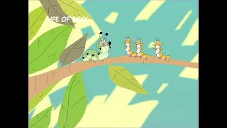 الرجفه الكتان دندنها