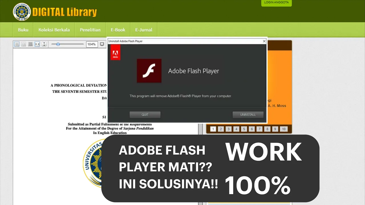 ADOBE FLASH PLAYER 1996-2021 :(