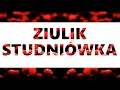 Download Lagu ZIULIK - STUDNIÓWKA (Official Lyric Video)