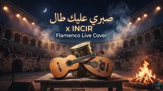 صبري عليك طال فلامنكو كوفر                                           دندنها