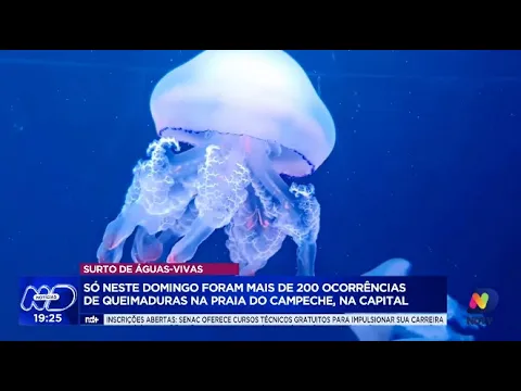 Florianópolis: ranking revela praias com maior número de ocorrências de afogamentos e salvamentos