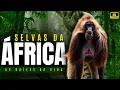 Download Lagu SELVAS AFRICANAS | Os Animais Mais Incríveis da África em um Documentário Inédito