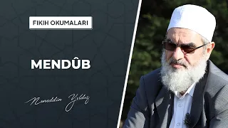 Mendûb