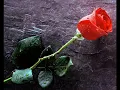 Fadel Shaker ft elissa jowa elroo7