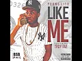 Like Me (feat. Troy Ave)