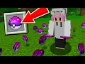 FARM DE MASTER BALL INFINITA NO PIXELMON