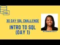Intro to SQL SQL 30 Day Challenge Day 1