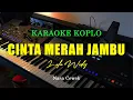 Download Lagu KARAOKE CINTA MERAH JAMBU - LALA WIDY NADA CEWEK ( KARAOKE KOPLO )