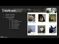 Mammal Classification