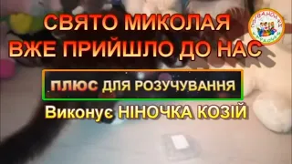 СВЯТО МИКОЛАЯ ВЖЕ ПРИЙШЛО ДО НАС ПЛЮС 