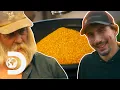 Top 6 Moments Of Gold Rush Series13 Gold Rush