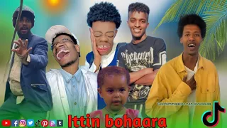 Shawangiza Fi Astamari Mokonon Wal Fiixxan Daawadha Ittiin Bohaara 