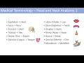 Medical Terminology Lesson 6 Anatomy and Anatomical Terms