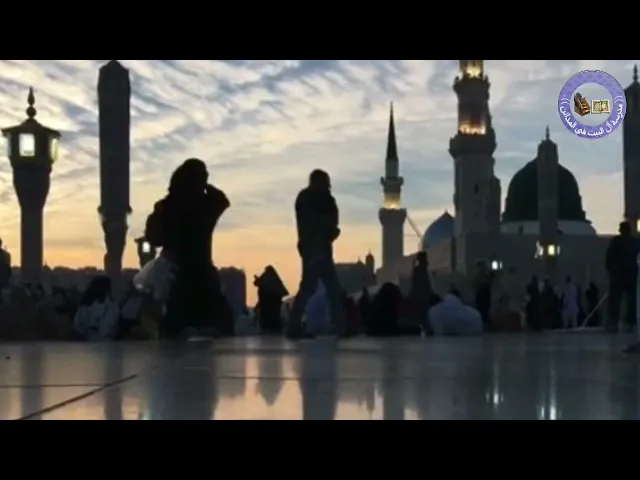 ⁣محطات | هل #مطالعة سيرة النبي ( صلى الله عليه وآله ) ضرورية ؟ | #سيد_رياض_الفاضلي