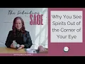Download Lagu Why You See Spirits Out of the Corner of Your Eye