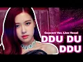 Download Lagu Ddu Du Ddu BLACKPINK (Concert Ver. Live Vocal)
