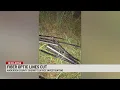 911 Disruption After Spectrum Fiber Lines Cut in Anderson County Criminal Investigation Underway