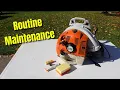 Stihl Backpack Leaf Blower Routine Maintenance - BR 450