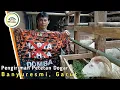 Lagu PENGIRIMAN PETETAN DOGAR KE BANYURESMI GARUT