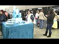 Fort Wayne Women s Expo