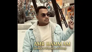 جامدة وبعيونها شغلاني   عمرو همام      دندنها