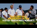 Download Lagu Kemenkomarves Minister Luhut Binsar Pandjaitan Visited Trees4Trees | Citarum Reforestation