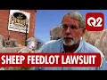 Molt Property Owner Sues Stillwater County Commissioners Over Sheep Feedlot Approval